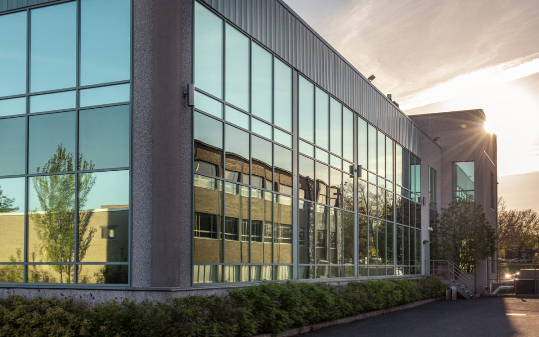 5 Questions You Should Ask About Commercial Window Tinting