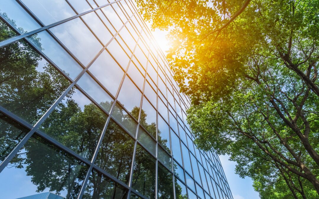 The Cost-Saving Power of Commercial Building Window Tinting