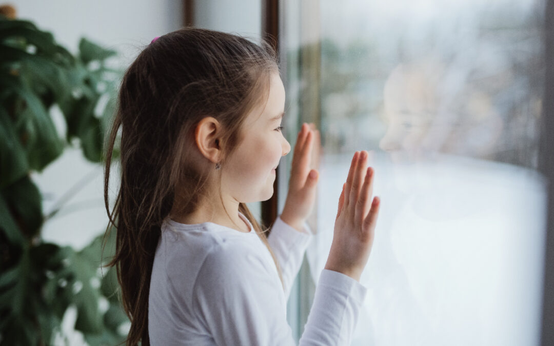5 Reasons to Love Your Windows With Solar Film