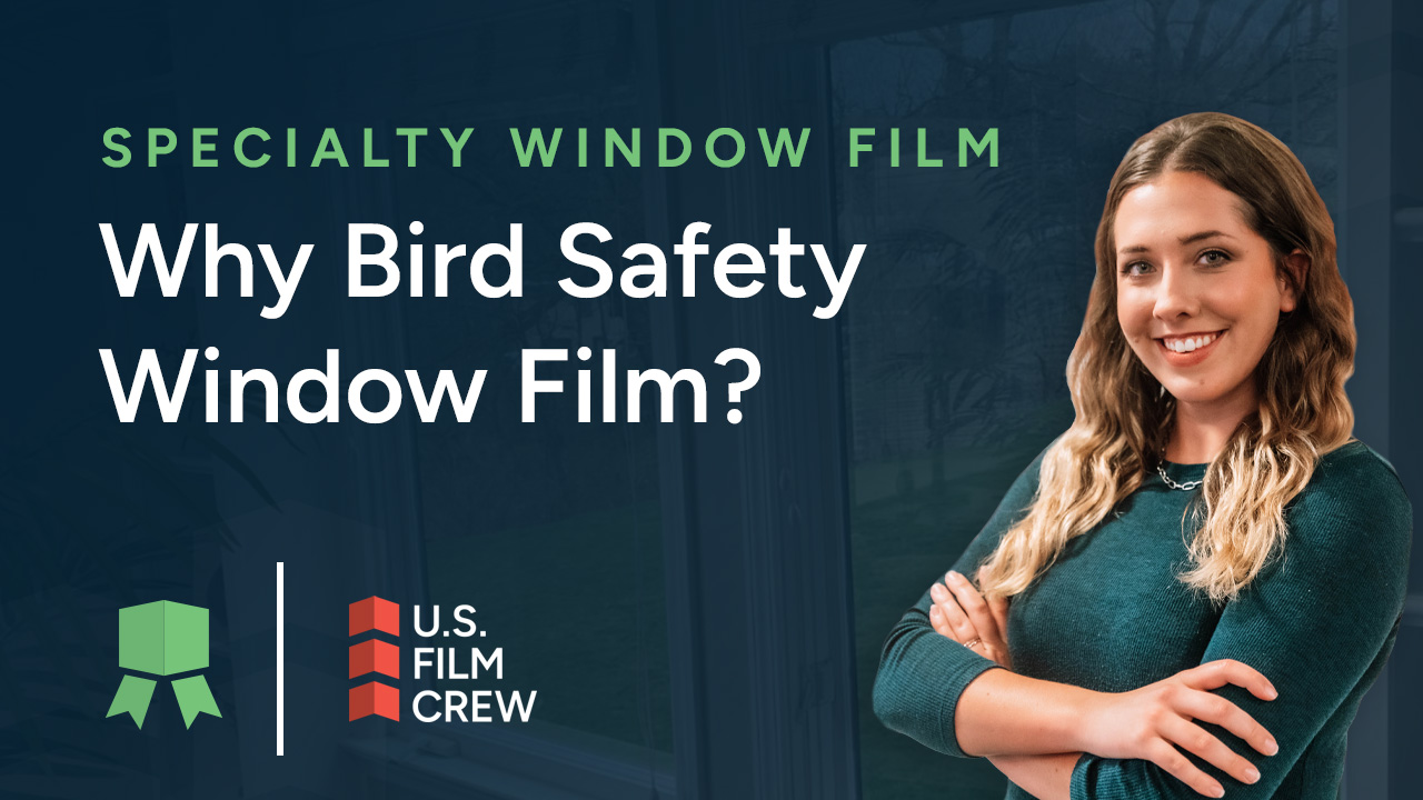 bird safety window film thumbnail