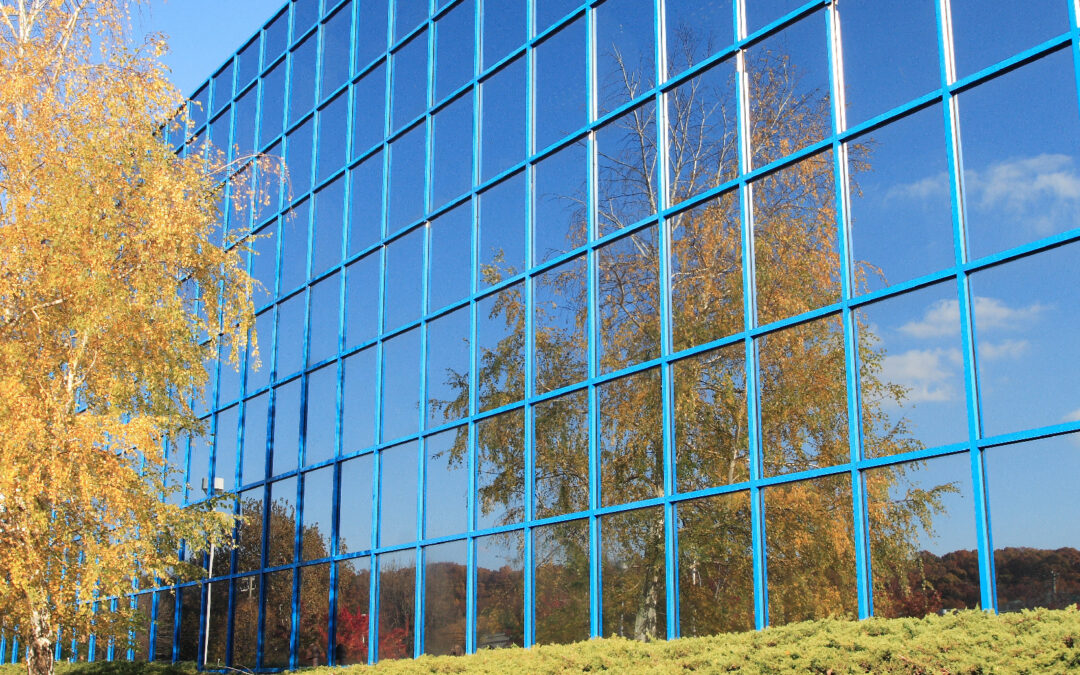 3M Safety and Security Window Film Options