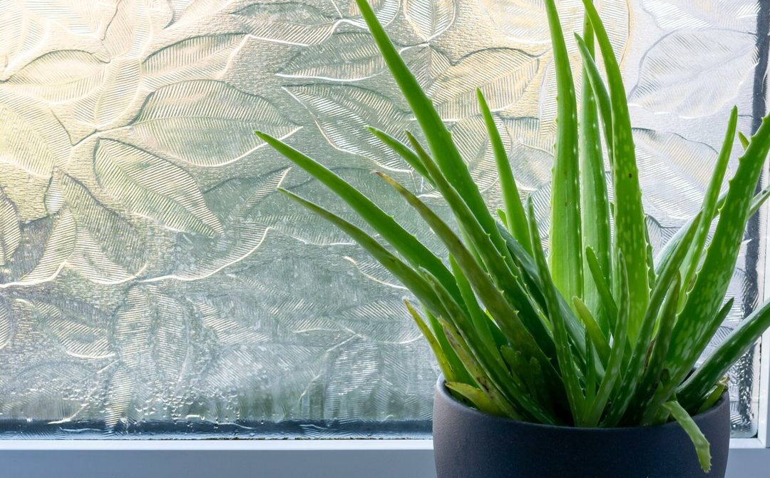 10 Window Film Ideas to Upgrade Your Home
