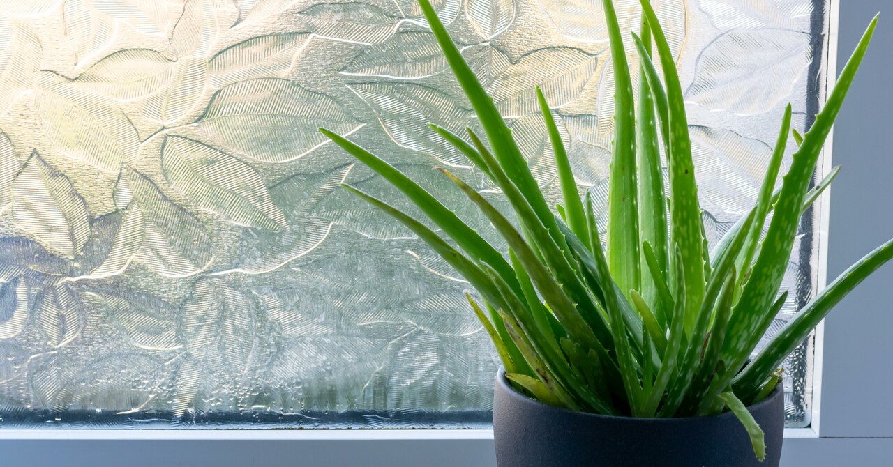 Window film ideas