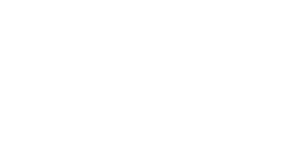 international window film association logo