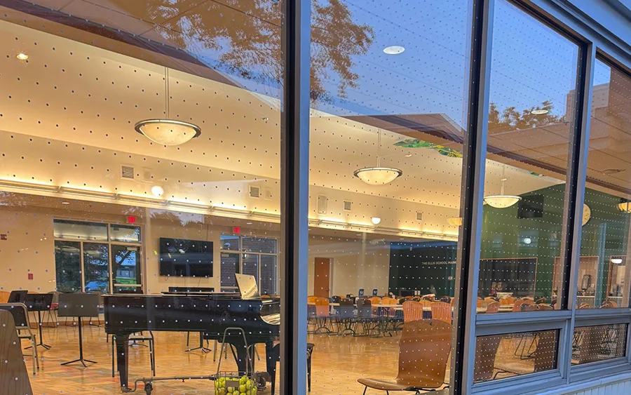 Bird-Safe Window Film and Decals: Making Glass More Visible During Fall Migration Bird-Safe Window Film